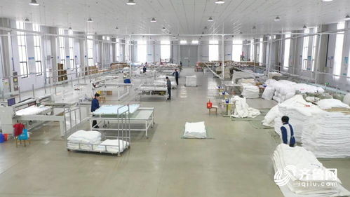 德州“万企升级”行动 服务专精特新企业，以信息科技驱动水洗棉被与冻干食品产业升级